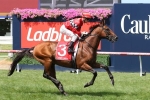 Boom Time will be Lindsay Park’s only Australian Cup Runner