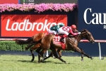 Ladbrokes Caulfield Guineas an Option for Danehill Stakes Winner Catchy