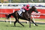 Sheidel to use her speed in Robert Sangster Stakes