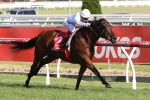 Silent Sedition to Take Place in William Reid Stakes Field