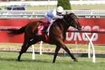 2017 Blue Diamond Stakes Results: Catchy Wins 2017 Blue Diamond Stakes Results: Catchy Wins