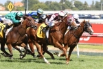 Weir resists gear change for Humidor in Australian Cup Weir resists gear change for Humidor in Australian Cup