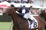 Assign is closer to a Melbourne Cup start with 1kg penalty Assign is closer to a Melbourne Cup start with 1kg penalty