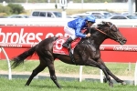 Bow Creek draws wide barrier in Champions Mile Bow Creek draws wide barrier in Champions Mile
