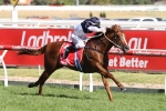 Extreme Choice and Flying Artie work well in Golden Slipper lead up