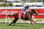 Newitt says Extreme Choice the one to beat in Newmarket Handicap