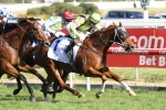 Flamberge Wins Exciting 2016 Oakleigh Plate