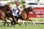 Flamberge Wins Exciting 2016 Oakleigh Plate Flamberge Wins Exciting 2016 Oakleigh Plate