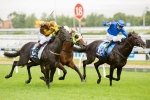 Australian Guineas Still An Option For Autumn Classic Winner Alpine Eagle