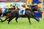 Turnbull Stakes Favourite Alpine Eagle Could Go Forward
