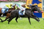 Alpine Eagle ready for the 1600m of Makybe Diva Stakes Alpine Eagle ready for the 1600m of Makybe Diva Stakes