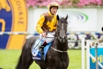 Alpine Eagle faces biggest test in Makybe Diva Stakes