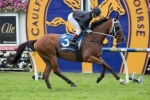 Mourinho Maintains Stellar Form With Peter Young Stakes Win