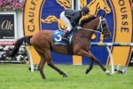 Mourinho Impresses In Trackwork Ahead Of Dato’ Tan Chin Nam Stakes Mourinho Impresses In Trackwork Ahead Of Dato’ Tan Chin Nam Stakes