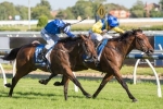 2015 Blue Diamond Stakes Results: Pride Of Dubai Wins 2015 Blue Diamond Stakes Results: Pride Of Dubai Wins