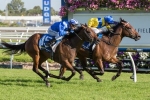 Black Type Races On The Agenda For Reemah Black Type Races On The Agenda For Reemah