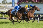 Black Type Races On The Agenda For Reemah