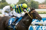 Three Scratched From Australian Guineas Field