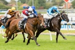 Sabatini Justifies Betting Plunge In Armanasco Stakes Sabatini Justifies Betting Plunge In Armanasco Stakes