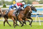 Sabatini Gets Her Chance In Robert Sangster Stakes