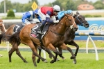 Sabatini Gets Her Chance In Robert Sangster Stakes Sabatini Gets Her Chance In Robert Sangster Stakes