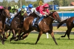 Shamal Wind On Track For King’s Stand Stakes Trip