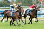 Suavito Upsets Dissident In 2015 Futurity Stakes