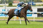 Tycoon Tara Set For McEwen Stakes