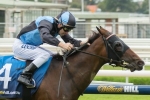 Missile Stakes to guage Harper’s Choice Epsom Handicap prospects