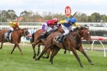 Admiral Primed for The Goodwood Campaign