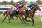 Inside draw not ideal for Black Heart Bart in The Goodwood Inside draw not ideal for Black Heart Bart in The Goodwood