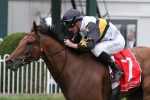 Freedman pair battle for Ballarat Cup favouritism Freedman pair battle for Ballarat Cup favouritism