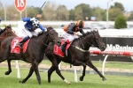 Tears Of Joy lightweight roughie in Ipswich Cup Tears Of Joy lightweight roughie in Ipswich Cup