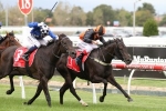 Tears Of Joy lightweight roughie in Ipswich Cup