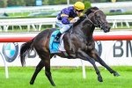 African Pulse To Return In John Monash Stakes