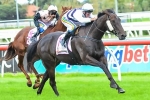 Budriguez resuming in Spring stakes Budriguez resuming in Spring stakes