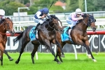 Cox Plate An Option For Jet Away