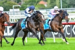 Imported Stayers To Make Australian Debuts In Golden Mile Imported Stayers To Make Australian Debuts In Golden Mile