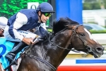 Boss To Help Jet Away gain Melbourne Cup start
