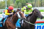 Blinkers back on Weinholt in 2014 Magic Millions 3yo Guineas