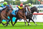 Weinholt To Be Ridden Quieter In McKenzie Stakes Weinholt To Be Ridden Quieter In McKenzie Stakes
