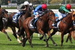 Payne Cautious With Husson Eagle Ahead Of Ballarat Magic Millions Classic Payne Cautious With Husson Eagle Ahead Of Ballarat Magic Millions Classic