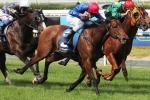 Husson Eagle’s Magic Millions Sprint Odds Lengthen