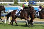Prince Harada On Trial For Group 1 Sprints