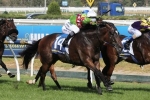 Prince Harada On Trial For Group 1 Sprints Prince Harada On Trial For Group 1 Sprints