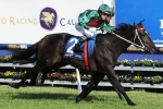 Memsie Stakes 2015: Edwards Thrilled With Sertorius