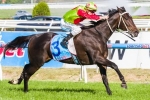 Bring Something Faces Tough Test In 2014 Queen Elizabeth Stakes