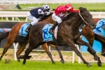 Price Wary Of Giving Brazen Beau A Start In BRC Sires Produce Stakes Price Wary Of Giving Brazen Beau A Start In BRC Sires Produce Stakes