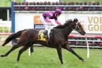 2016 Darwin Cup an Option for Adirondack 2016 Darwin Cup an Option for Adirondack