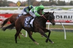 Precious Gem Primed for Tattersall’s Tiara